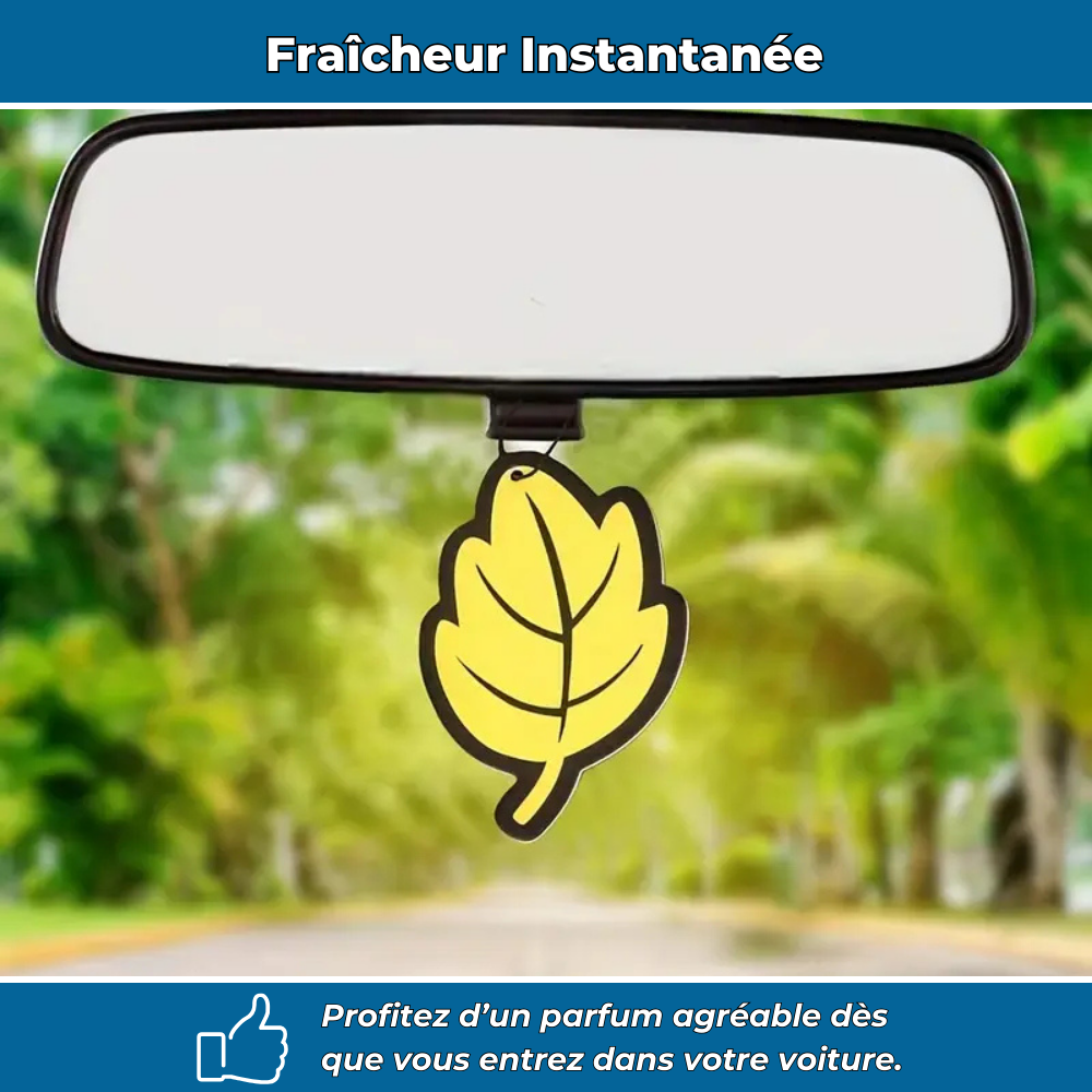 Lot de désodorisants voiture en forme de feuille