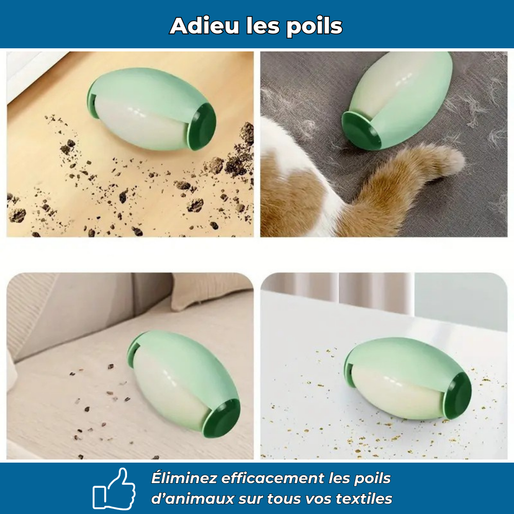 Rouleau capteur de poils réutilisable