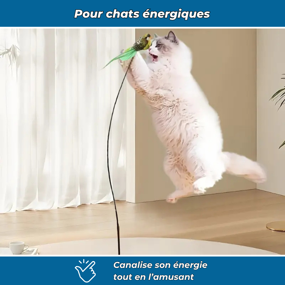 Jouet interactif à oiseau pour chats actifs
