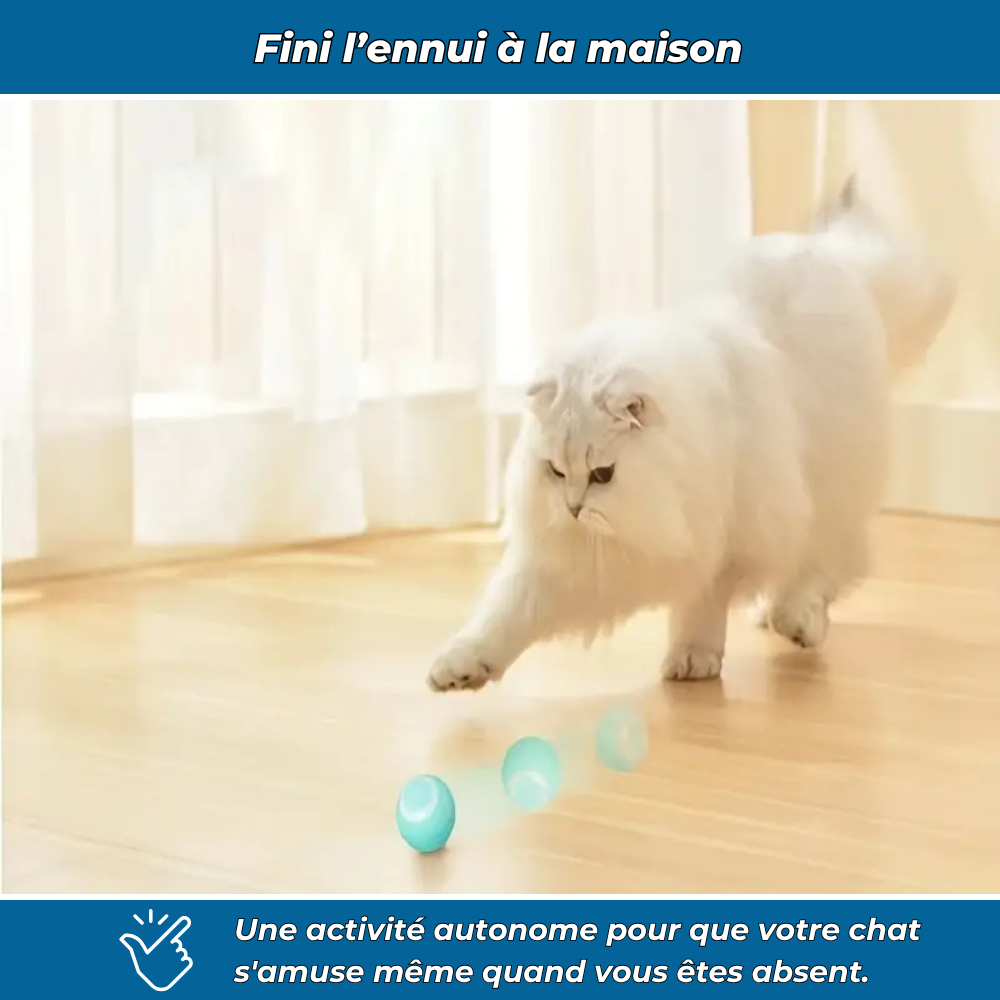 Balle interactive automatique pour chats