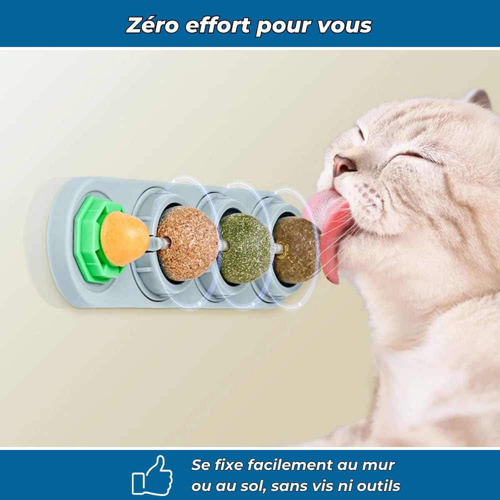 VetiCat – Jouet mural à l’herbe à chat naturelle
