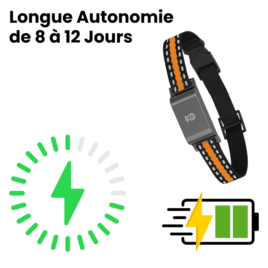 Comfexia™ – Collier GPS Chien Sans Abonnement Suivi Précis & Illimité
