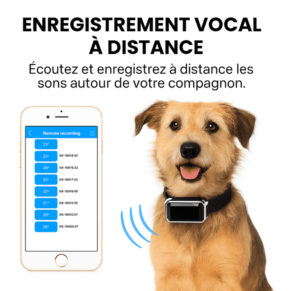 Comfexia™ – Collier GPS Chien Abonnement, Portée Illimitée