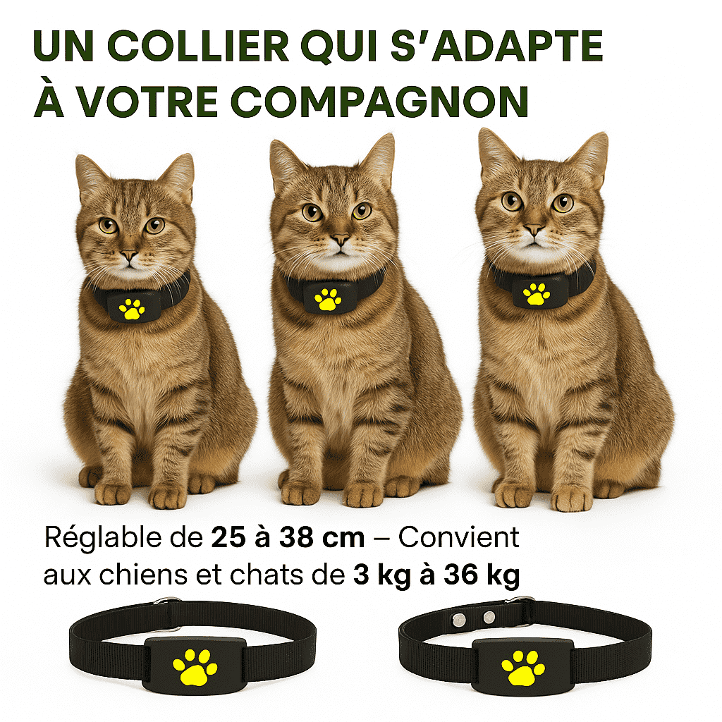 Mewly™ – Collier GPS Chat Sans Abonnement Suivi Instantané Haute Précision
