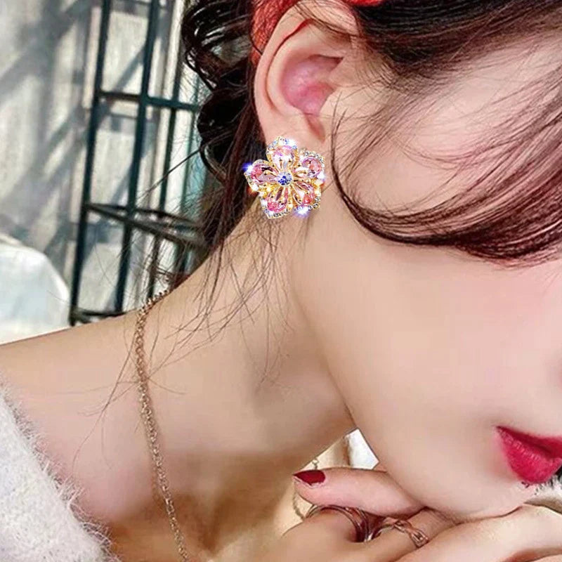 Boucles d'Oreilles Zircon Multicolore en Argent
