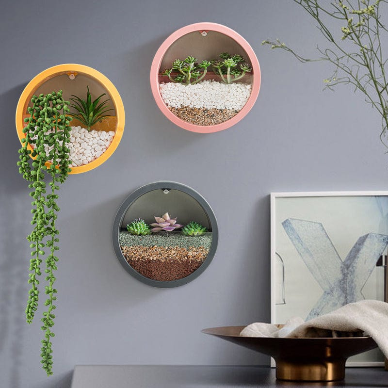 Jardinière Murale Intérieur Transparente Ronde