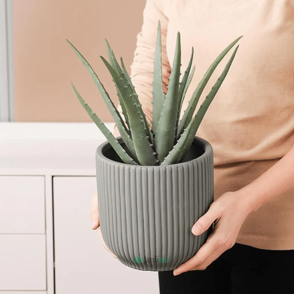 Jardioui 1 Pots (54.90 €/ pcs) / Gris Pot de Fleur en Céramique Élégant
