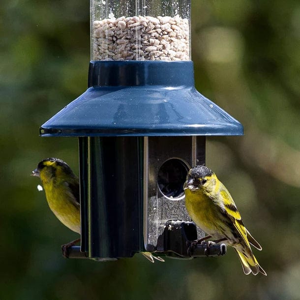 Distributeur de Nourriture Ultime pour Oiseaux