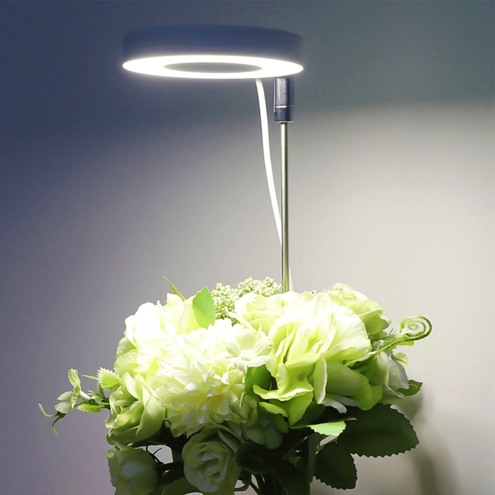 Lampe de Croissance LED d'Intérieur (Lot de 2+1 Offerte)