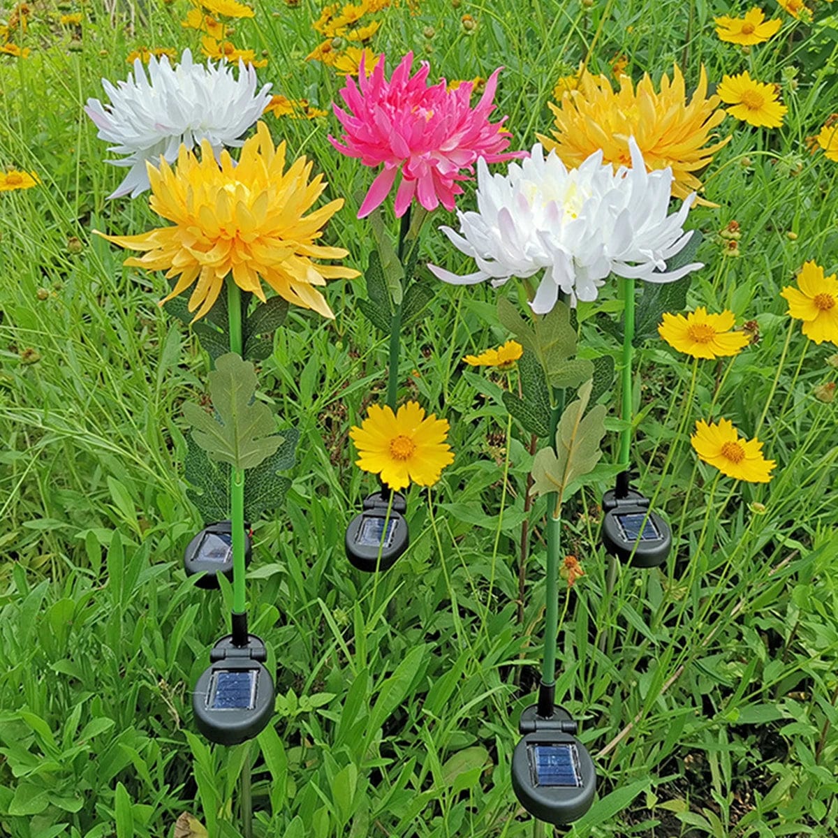 Lampe Solaire Chrysanthème Éclatante