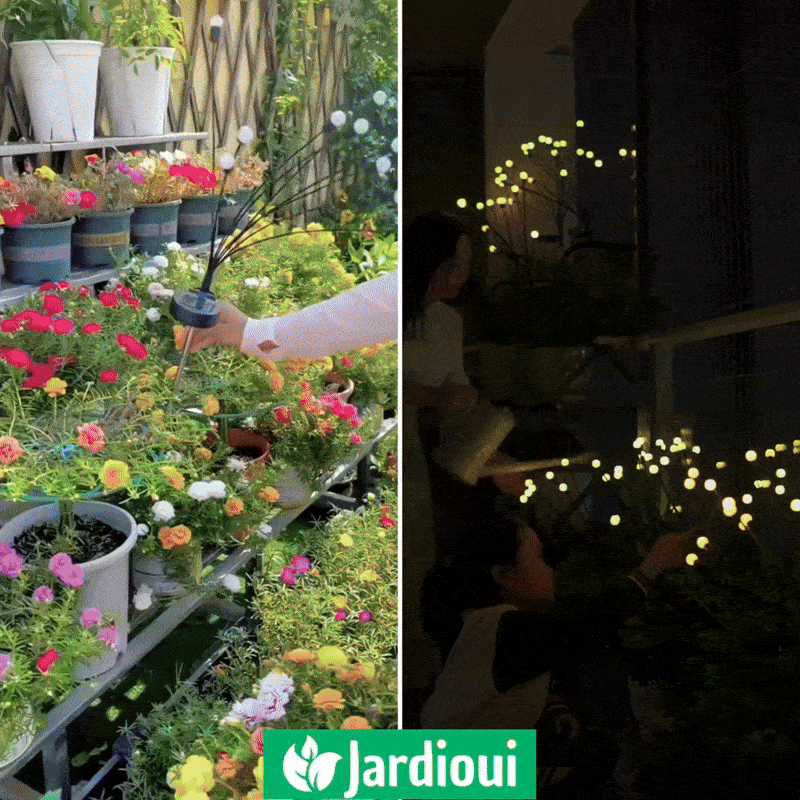 Lampes LED Lucioles à Énergie Solaire - Offre Spéciale