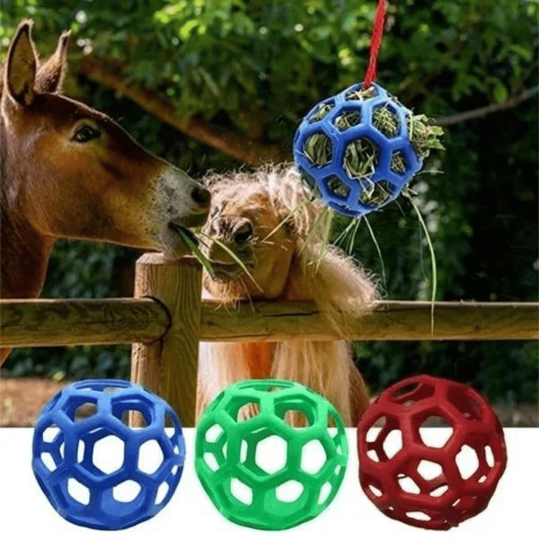 Balle Mangeoire Universelle pour Animaux