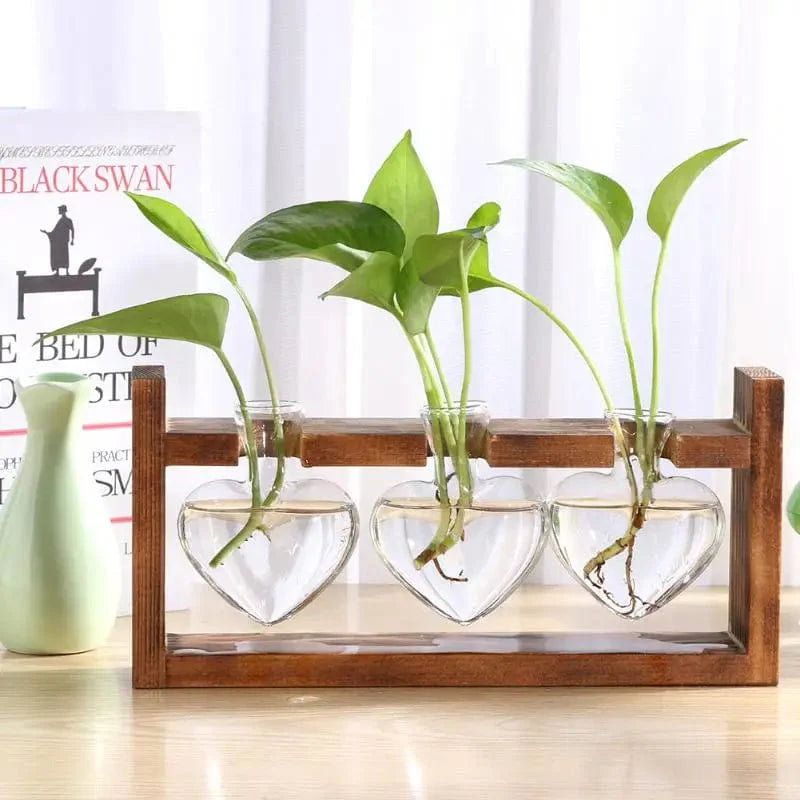 Vase Hydroponique en Verre en Forme de Cœur