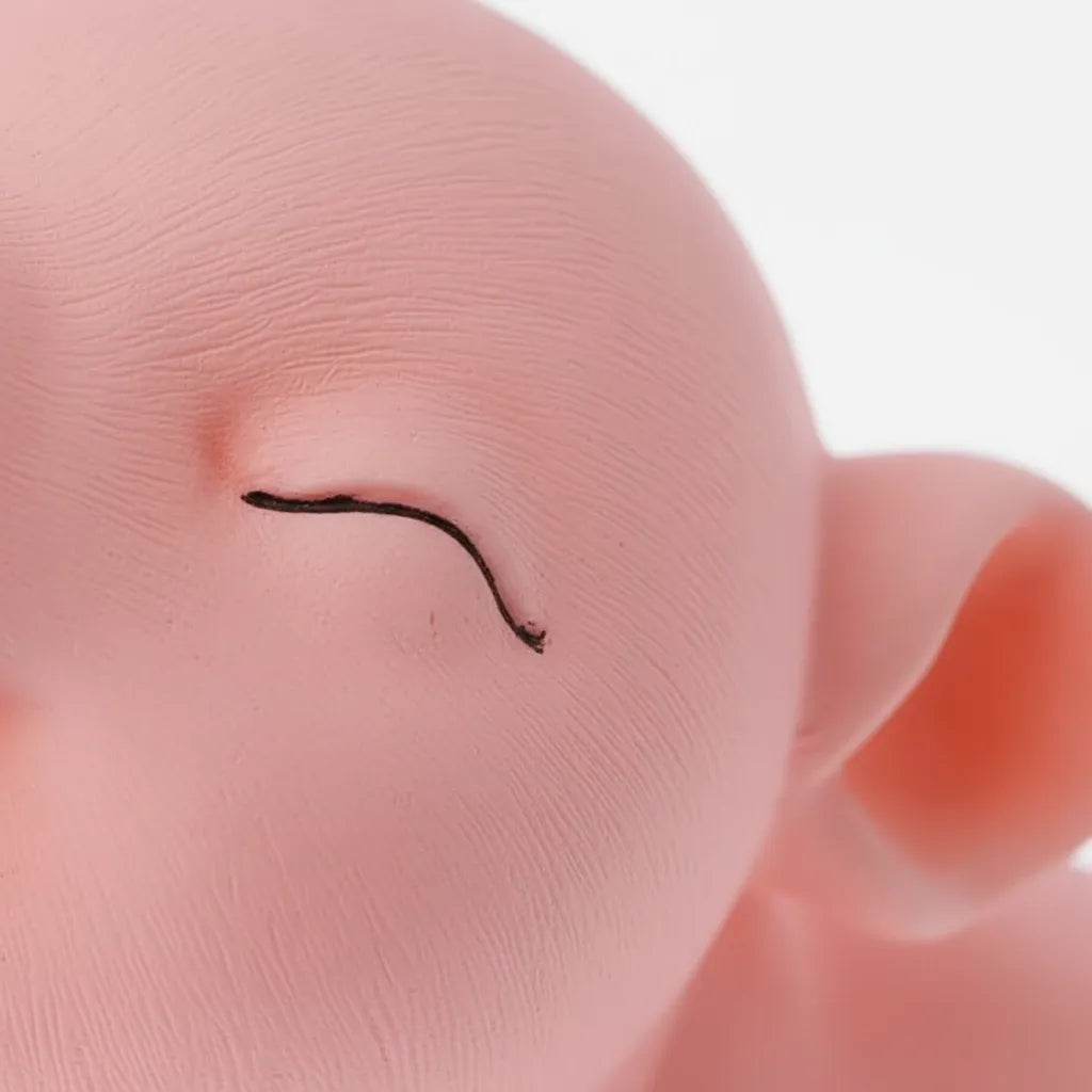 Tirelire Cochon en Plastique