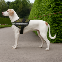Harnais chien nom personnalisé – réglable et anti-étranglement