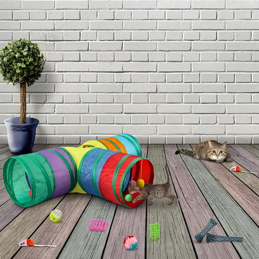 Lot de jouets interactifs pour chat