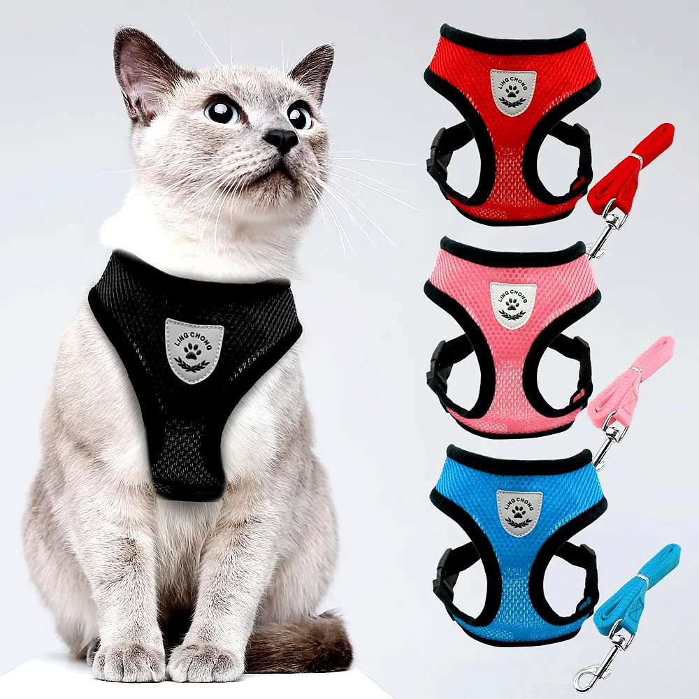 Harnais sécurisé avec laisse pour chat explorateur