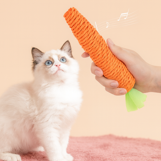 Lot de 2 jouets carotte pour chat – interactifs avec cloche intégrée