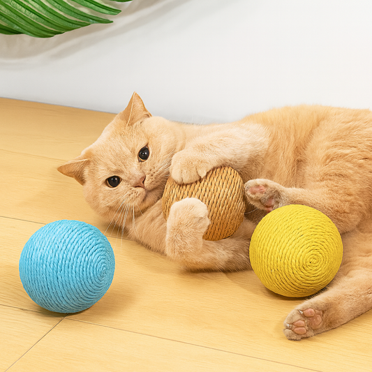 Balle à gratter interactive pour chats