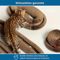 Griffoir en carton modulable et jouet d’intérieur