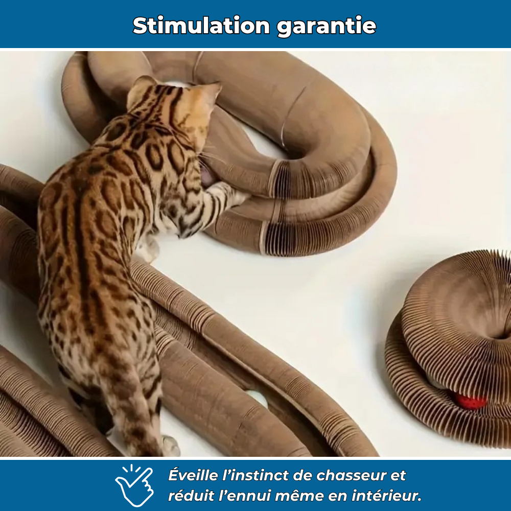 Griffoir en carton modulable et jouet d’intérieur