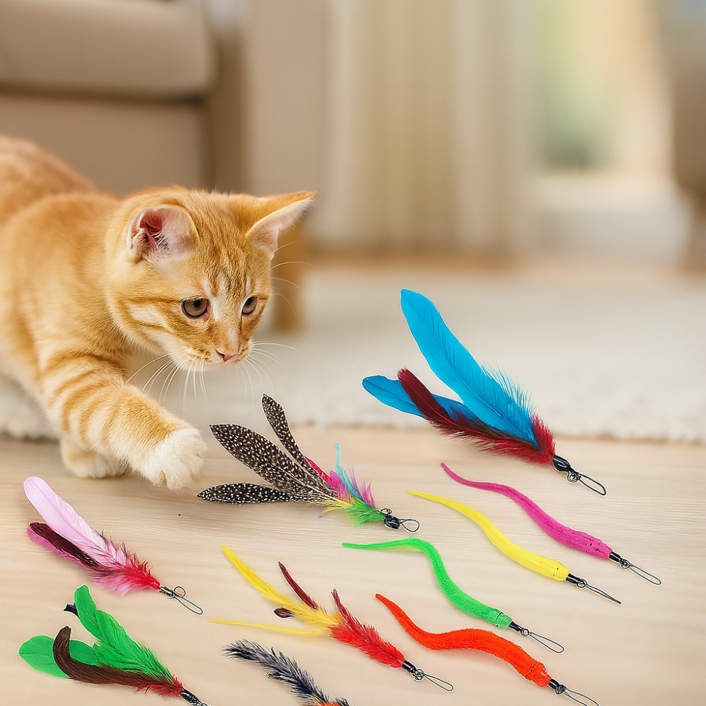Lot 12 jouets interactifs pour chat avec plumes et bâtons