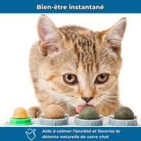 VetiCat – Jouet mural à l’herbe à chat naturelle