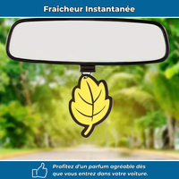 Lot de désodorisants voiture en forme de feuille