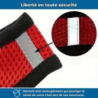 Harnais sécurisé avec laisse pour chat explorateur