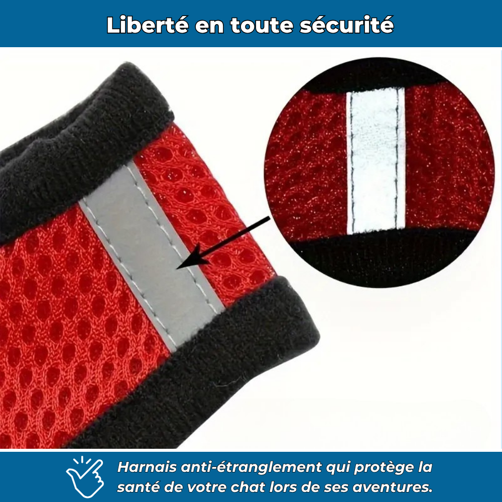 Harnais sécurisé avec laisse pour chat explorateur