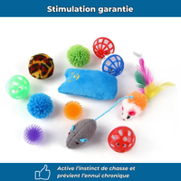 Lot de jouets interactifs pour chat