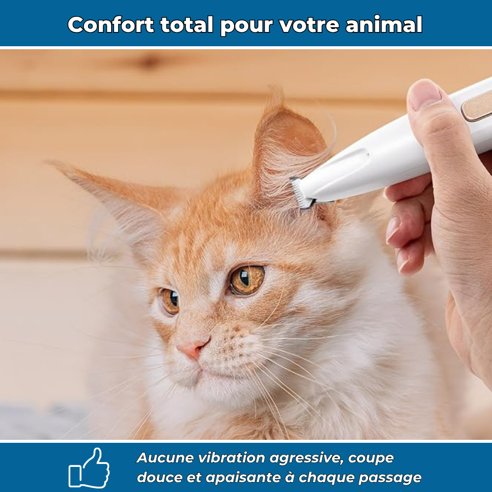 Tondeuse silencieuse multi-zones pour chiens et chats