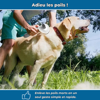Brosse pour animaux efficace et facile à nettoyer