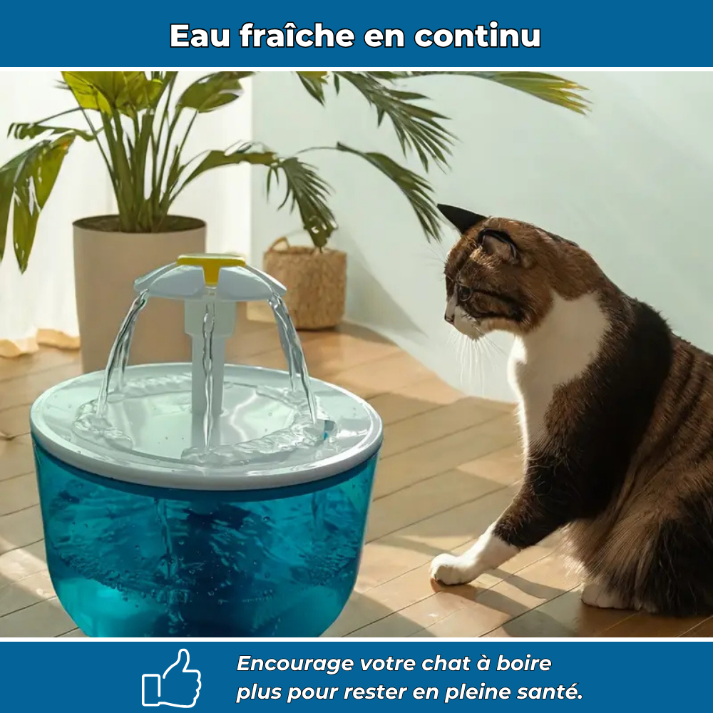 AquaChat - Fontaine filtrante à eau douce pour chats