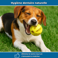 Balle en caoutchouc à mâcher pour chien