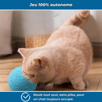 Balle à gratter interactive pour chats