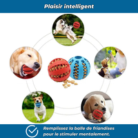 Balle en caoutchouc à mâcher pour chien