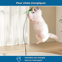 Jouet interactif à oiseau pour chats actifs