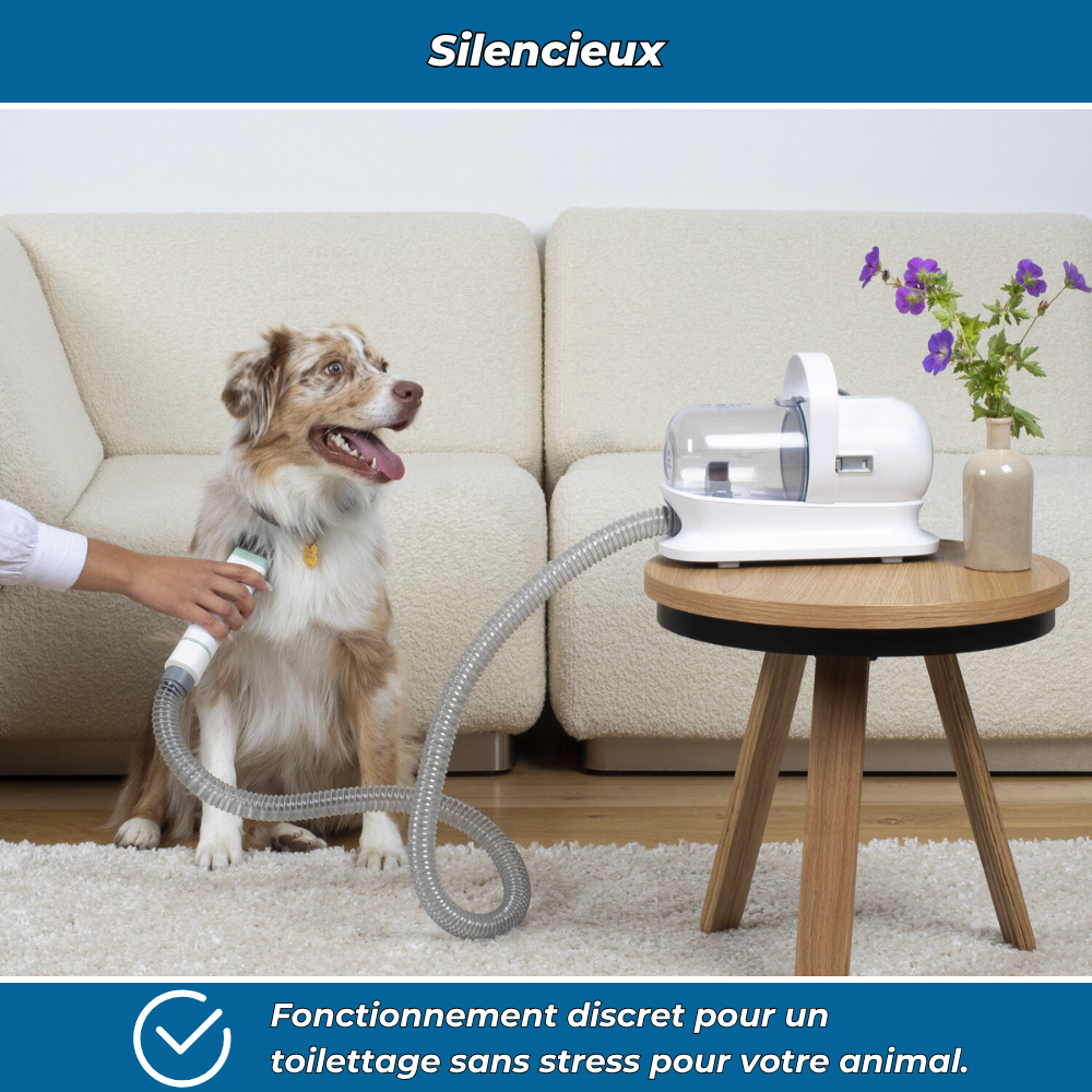 Aspirateur pour poils d’animaux