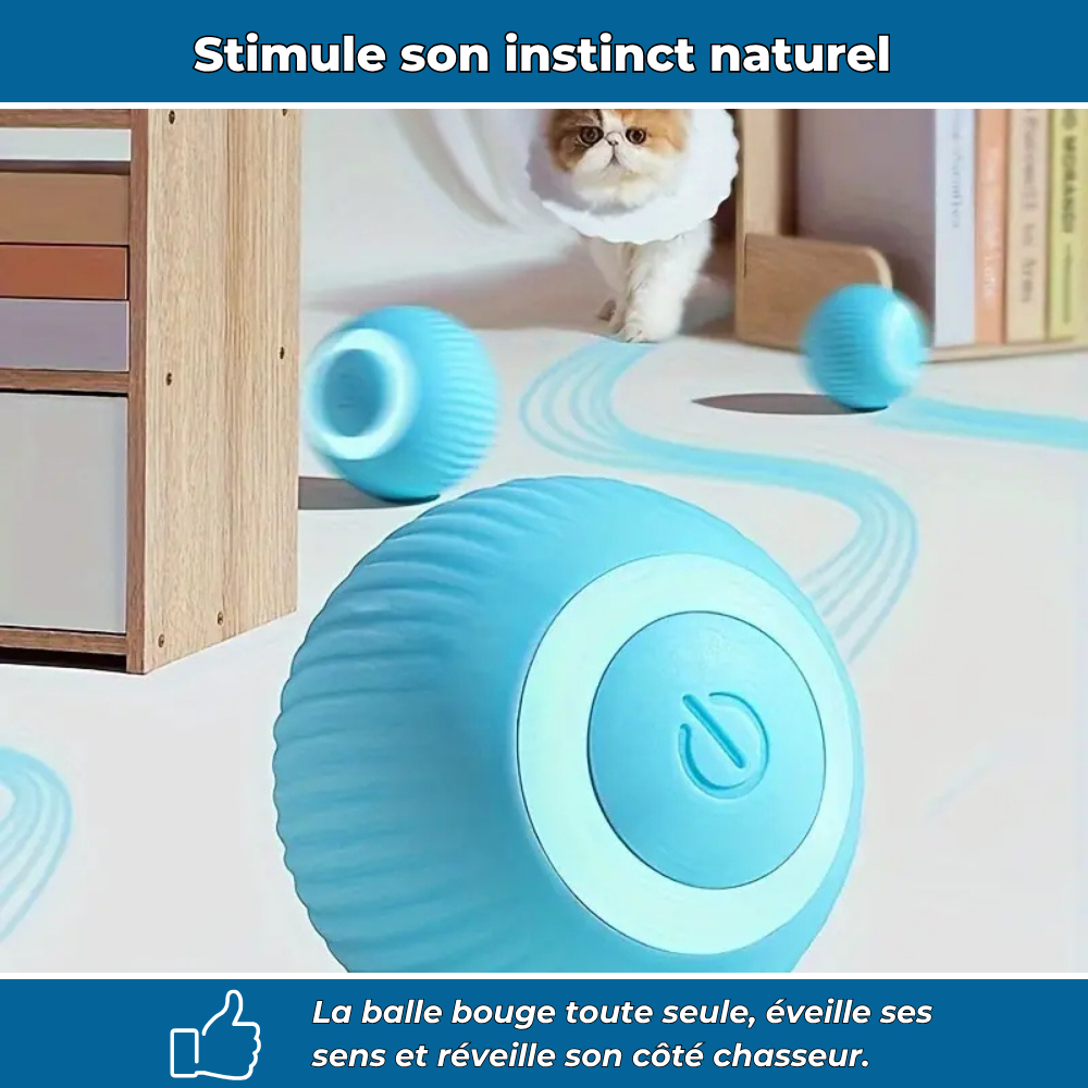 Balle interactive automatique pour chats