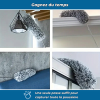 Brosse télescopique pour dépoussiérage en hauteur