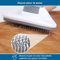 Brosse pour animaux efficace et facile à nettoyer