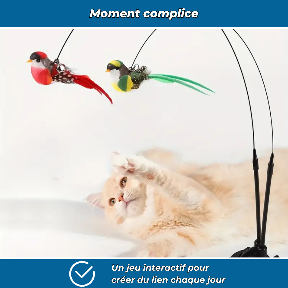 Jouet interactif à oiseau pour chats actifs