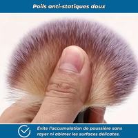 Dust PRO – Kit de 2 brosses anti-poussière pour voiture