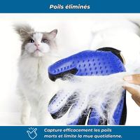 Gants de toilettage anti-poils
