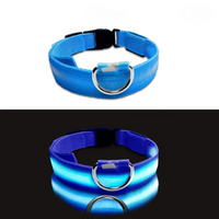 Collier LED phosphorescent pour chien