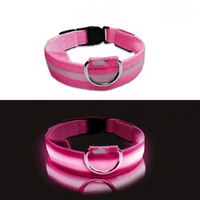 Collier LED phosphorescent pour chien