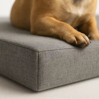 BulldoRest™ – Coussin Chien Orthopédique Soutien Dorsal