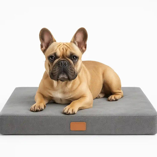 BulldoRest™ – Coussin chien orthopédique soutien dorsal spécial Bouledogue Français