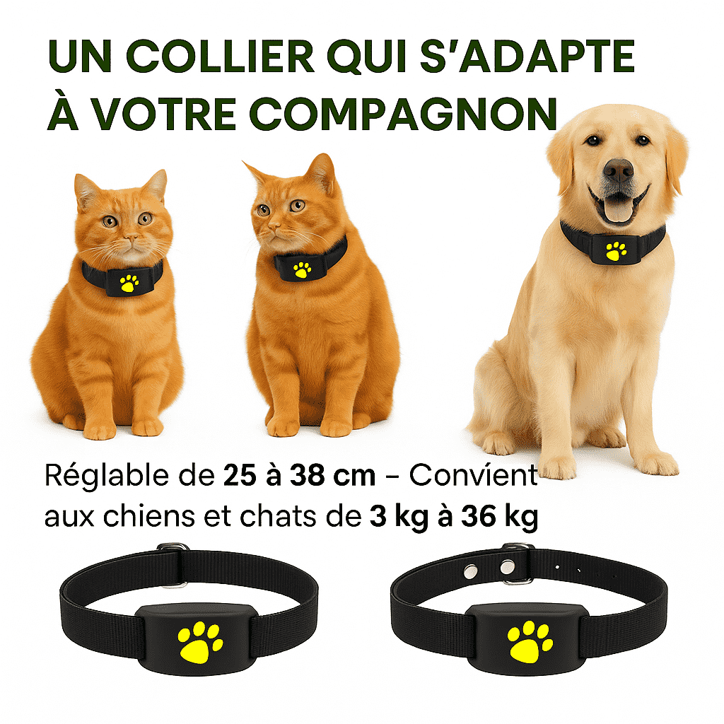 Caniggo™ – Collier GPS Chien Sans Abonnement Suivi Fiable en Temps Réel